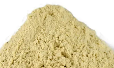 Vital Wheat Gluten