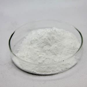 Purified Terephthalic Acid