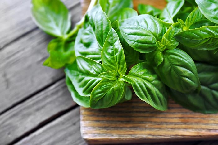 Basil Oil